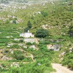 balazsh 2011